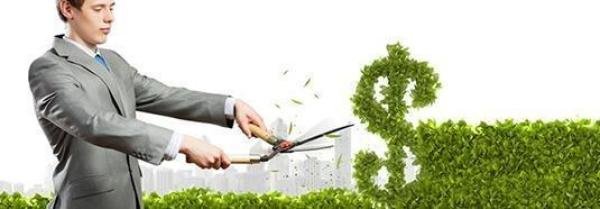 Como ganhar dinheiro com meu site?